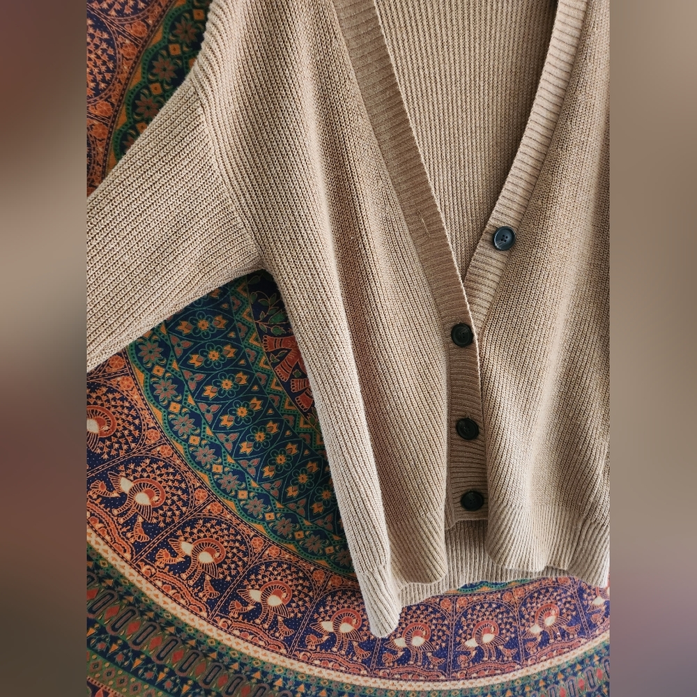 Beige American Eagle Cardigan